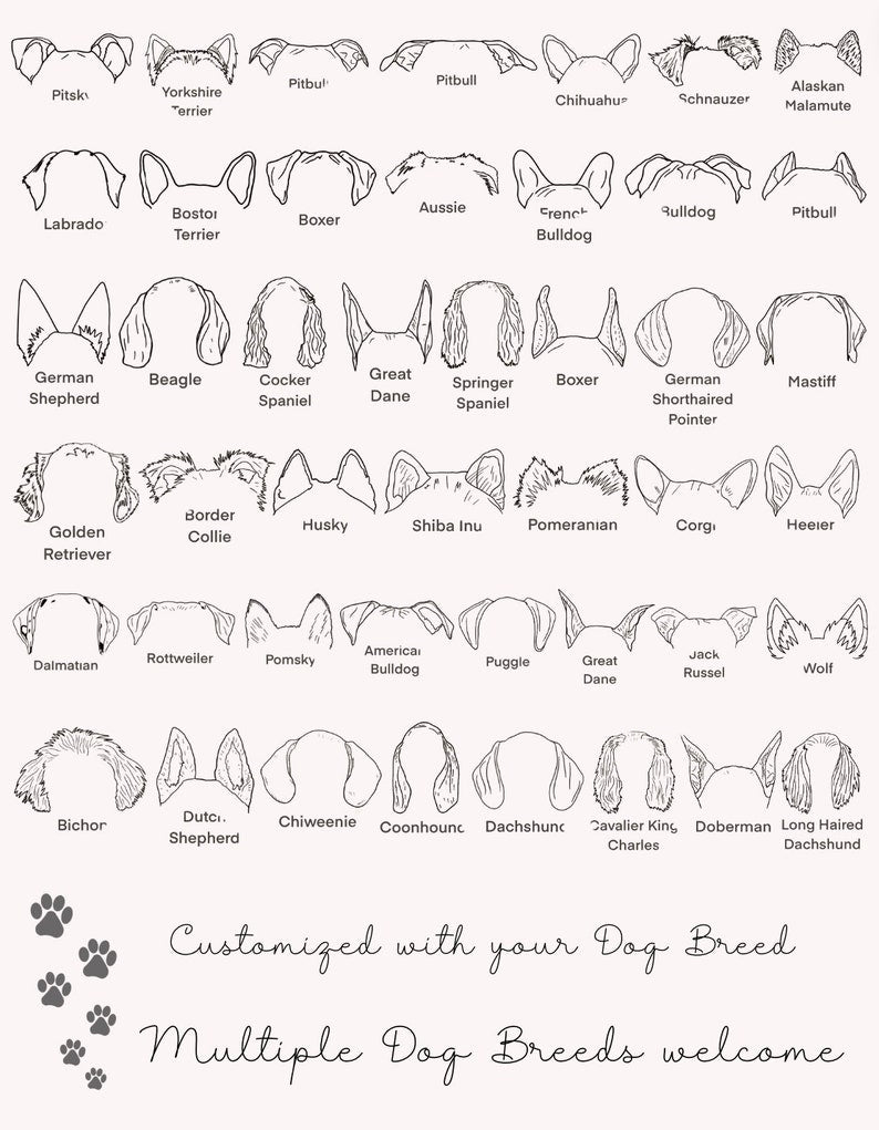 Custom Dog Ears Sweatshirt - Personalized Corgi Shirt for Dog Moms, Add Your Pet's Name to the Sleeve, Unique Dog Lover Gift, cute puppy tee