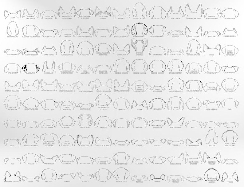 Custom Dog Ears 40oz Tumbler with Handle - Unique Pet Owner Gift, Personalized Dog Lover Cup, Cute Dog Name Engraved Gift, Mom Mother's Day