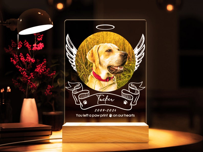 Custom Pet Photo Night Light, Personalized Gifts for Pet Loss, Dog Cat Night Light, Pet Loss Gift, Custom Pet Print, Pet Memorial Frame il_794xN.5728983029_6koh.jpg