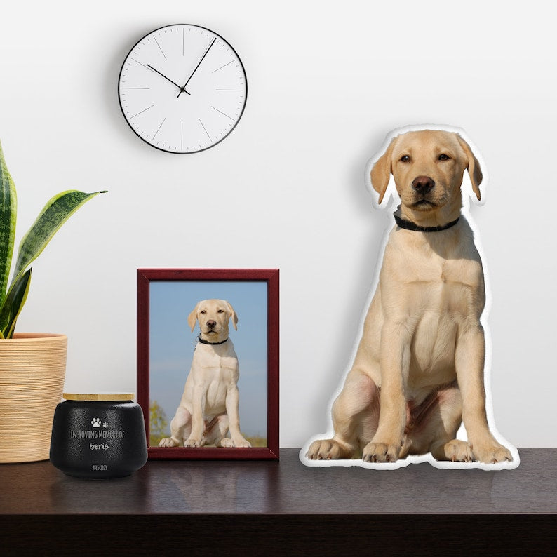 Custom 3D Pet Pillow from Photo - Personalize Dog Gift Cat Gift Halloween Gift - Double Printed Cotton Dog Pillow Pet Pillow Cat pillow