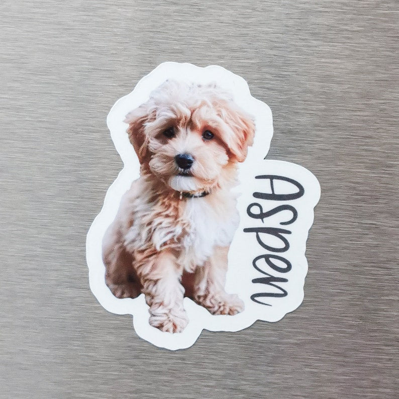 Custom Fridge Magnet, Die Cut Pet Magnets, Personalized Family Photo Magnets,Dog Cat Lover Gifts, Occasional Custom Printing Gift,Decorative