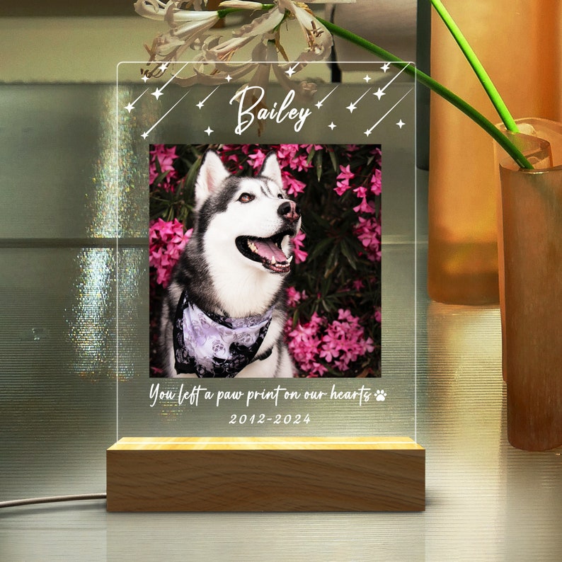 Personalized Photo Pet Night Light, Pet Memorial Plaque, Personalized Gifts for Pet Loss, Sympathy Gift, Mother's Day Gift,Pet Memorial Lamp