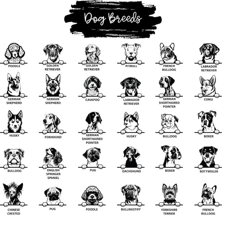 Personalized Dog Gift, Dog Welcome Mat, Unique Dog Gift, Housewarming Dog Gift, Custom Dog Breeds, Custom Name Doormat, Housewarming Dog Rug