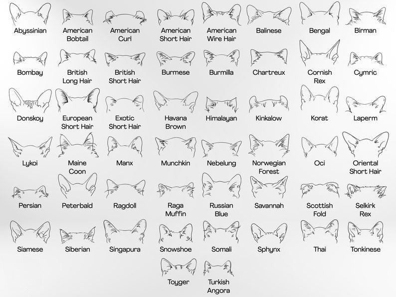 Custom Cat Ears 40oz Tumbler with Handle - Unique Pet Owner Gift, Personalized Cat Lover Cup, Cute Cat Name Engraved Gift, Mom Mother's Day