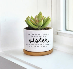 Sister Gift, There's No Better Friend Than a Sister, Sister Birthday Gift, Personalized Planter, Custom Plant Pot, Succulent Gift