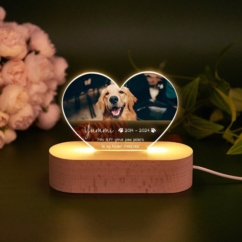Personalized Pet Memorial LED Night Light,Custom Pet Loss Frame,Pet Photo Light,Dog Memorial Gift,Dog Cat Loss Sympathy Gift,Dog Mom Gifts