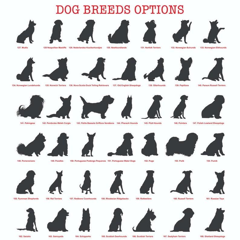 Dog's Garden Custom Metal Pet Memorial Garden Sign, Metal Stake, Dog Garden Sign, Pet Grave Markers, Dog Loss Gifts, Remembrance Stake, Dog Lover Gift il_794xN.5799426622_jxus.jpg