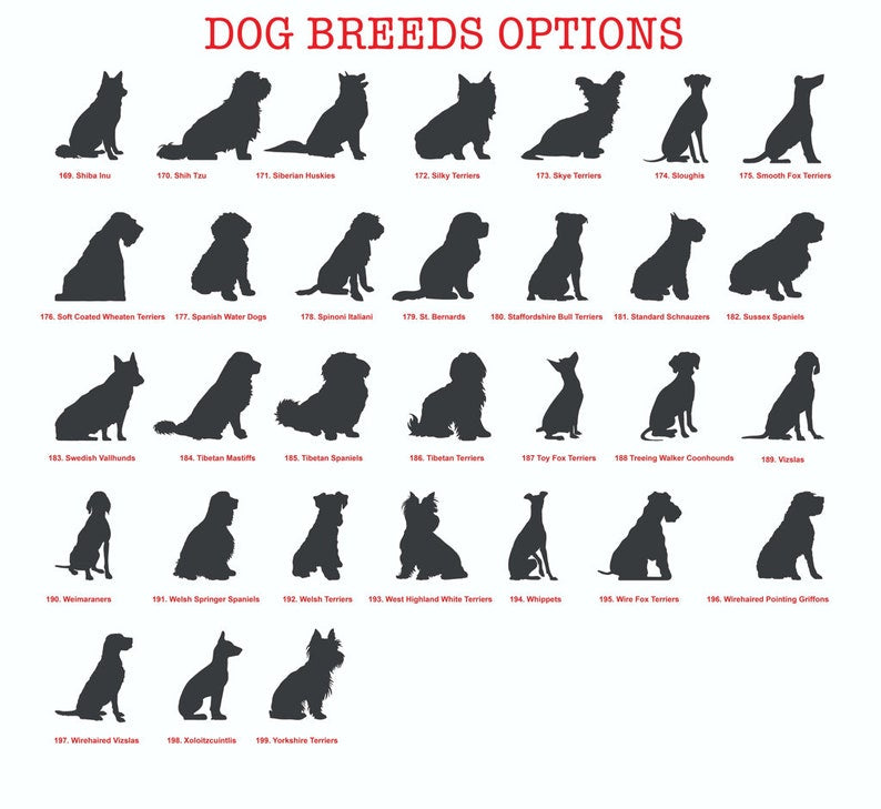 Dog's Garden Custom Metal Pet Memorial Garden Sign, Metal Stake, Dog Garden Sign, Pet Grave Markers, Dog Loss Gifts, Remembrance Stake, Dog Lover Gift il_794xN.5799426688_eild.jpg