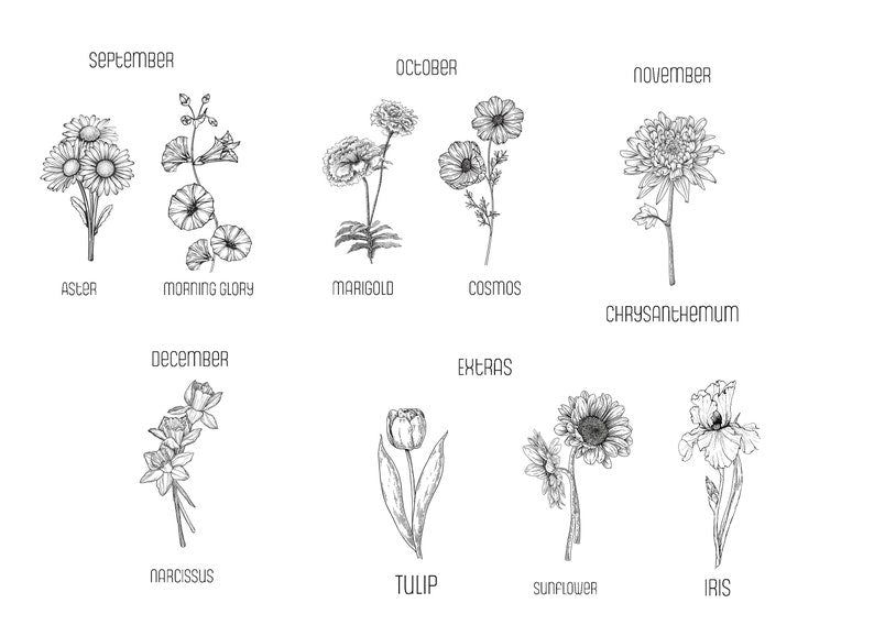 Personalized Birth Flower Bookmark with Name, Laminated Personalized Bookmark