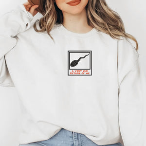 Embroidered A Very Old Picture Of Me T-Shirt - Hoodie - Sweatshirt, Funny Shirt, Hilarious Humor Tee, Funny Gift For Friends, Sperm T-Shirt il_794xN.5808114893_447k_13b7d910-6b96-46a3-91fb-23383d9b9b17.jpg