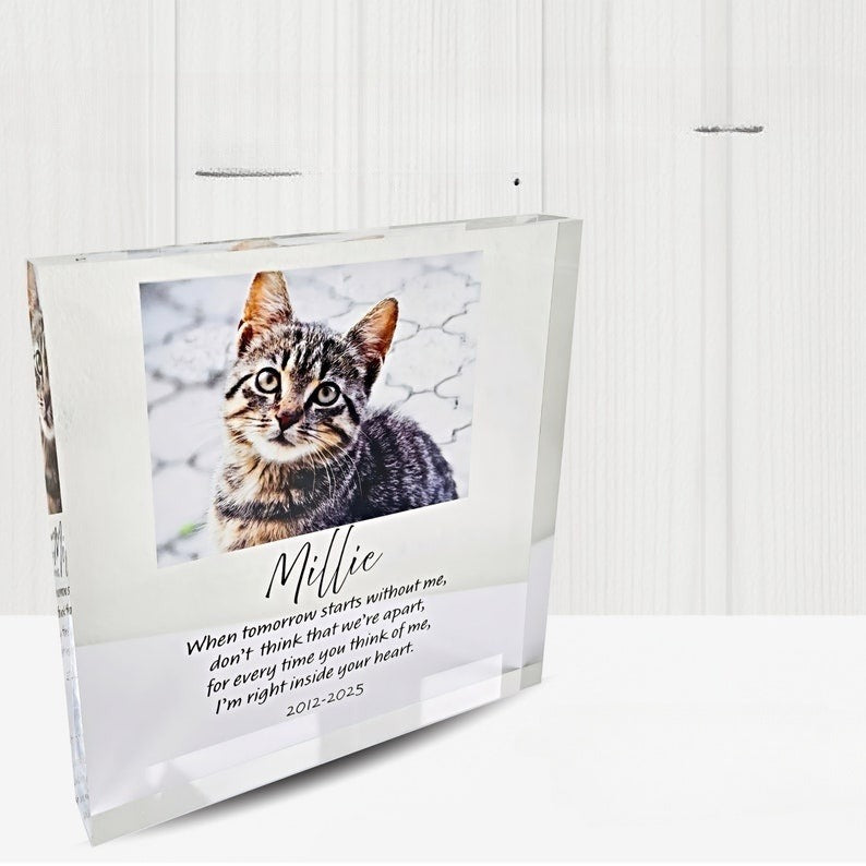 Dog Memorial Gift Photo Keepsake - Personalised Pet Loss Sympathy Plaque - Custom Pet Memorial Gift Frame - Cat Bereavement Gift for Friend