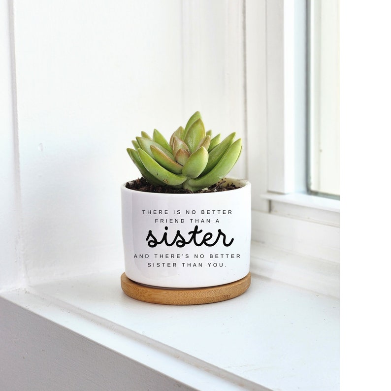 Sister Gift, There's No Better Friend Than a Sister, Sister Birthday Gift, Personalized Planter, Custom Plant Pot, Succulent Gift