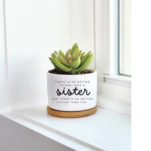 Sister Gift, There's No Better Friend Than a Sister, Sister Birthday Gift, Personalized Planter, Custom Plant Pot, Succulent Gift