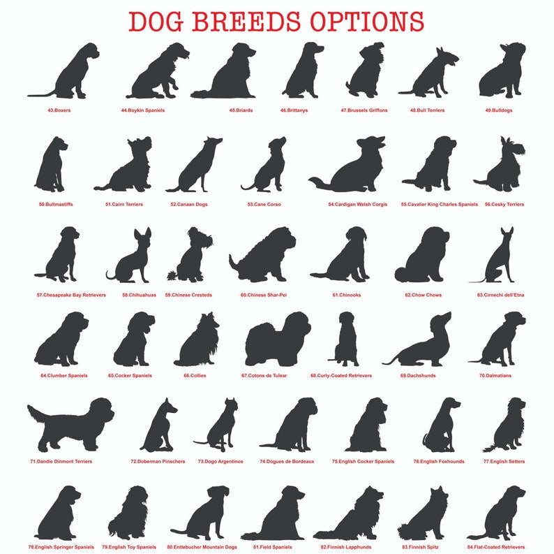 Dog's Garden Custom Metal Pet Memorial Garden Sign, Metal Stake, Dog Garden Sign, Pet Grave Markers, Dog Loss Gifts, Remembrance Stake, Dog Lover Gift il_794xN.5847499053_tqkb.jpg