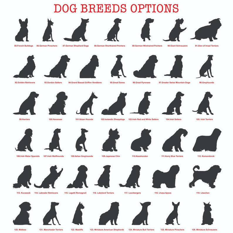 Dog's Garden Custom Metal Pet Memorial Garden Sign, Metal Stake, Dog Garden Sign, Pet Grave Markers, Dog Loss Gifts, Remembrance Stake, Dog Lover Gift il_794xN.5847499125_jl9c.jpg