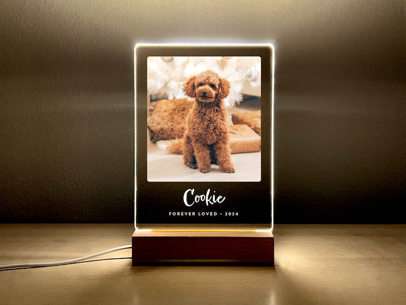 Light Up Pet Memorial Gift, LED Pet Frame, Pet Memorial Keepsake, Pet Bereavement Gift, Pet Loss Sympathy Gift