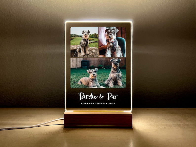 Light Up Pet Memorial Gift, LED Pet Frame, Pet Memorial Keepsake, Pet Bereavement Gift, Pet Loss Sympathy Gift