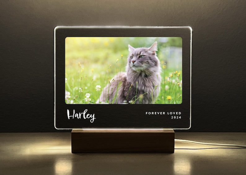 Light Up Pet Memorial Gift, LED Pet Frame, Pet Memorial Keepsake, Pet Bereavement Gift, Pet Loss Sympathy Gift