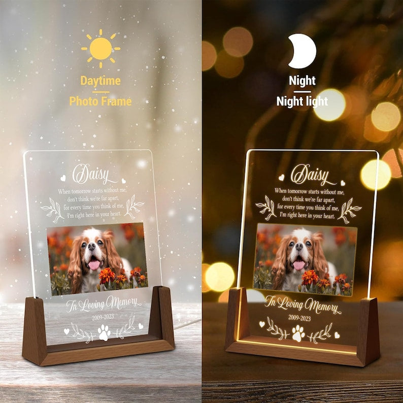 Personalized Light Up Pet Memorial Gift LED Pet Frame Pet Memorial Keepsake Pet Bereavement Gift Pet Loss Sympathy Gift. il_794xN.5855987522_4z79.jpg