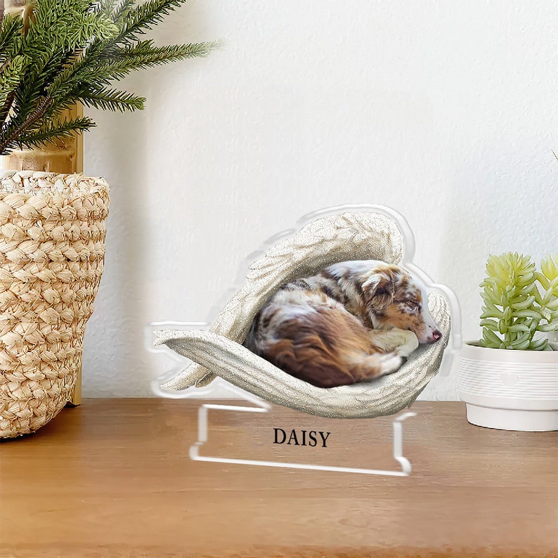 Sleeping Pet Within Angel Wings Personalized Dog Photo Acrylic Plaque, Dog Acrylic Keepsake Gift, Cute dog Sleeping Angel Acrylic Plaque il_794xN.5861736634_cbpy.jpg