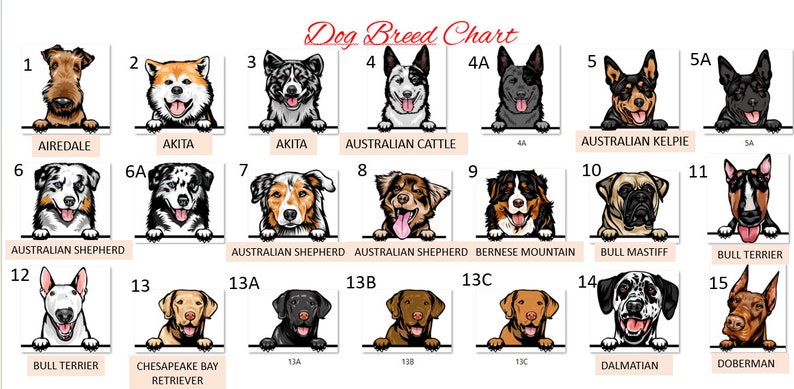 Custom Dog Christmas Stocking Velvet , Dog Breed Stocking Christmas Stockings Christmas decoration for Family ,Christmas Velvet Stockings