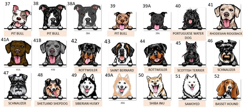 Custom Dog Christmas Stocking Velvet , Dog Breed Stocking Christmas Stockings Christmas decoration for Family ,Christmas Velvet Stockings