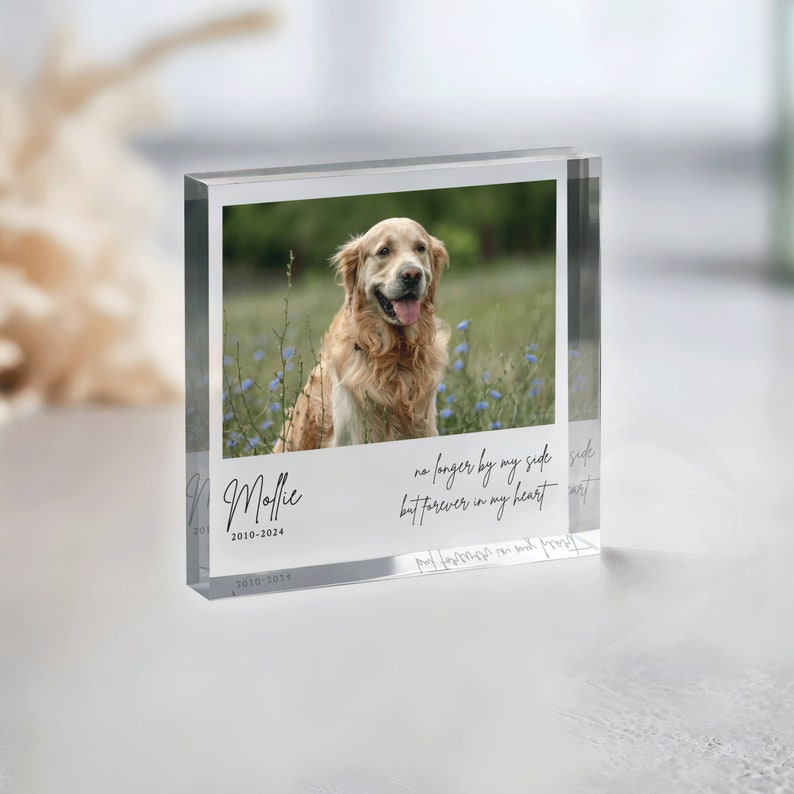 Personalized Pet Memorial Plaque, Photo Pet Memorial Gift, Pet Loss Keepsake, Pet Memorial Photo Plaque, Dog Cat Pet Memorial Gifts