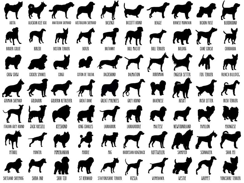 Pet Memorial Gift, Dog Memorial Gift Personalized Loss of Dog Sympathy Gift, Pet Memorial Suncatcher, Dog Remembrance Gift, Pet Loss Gift