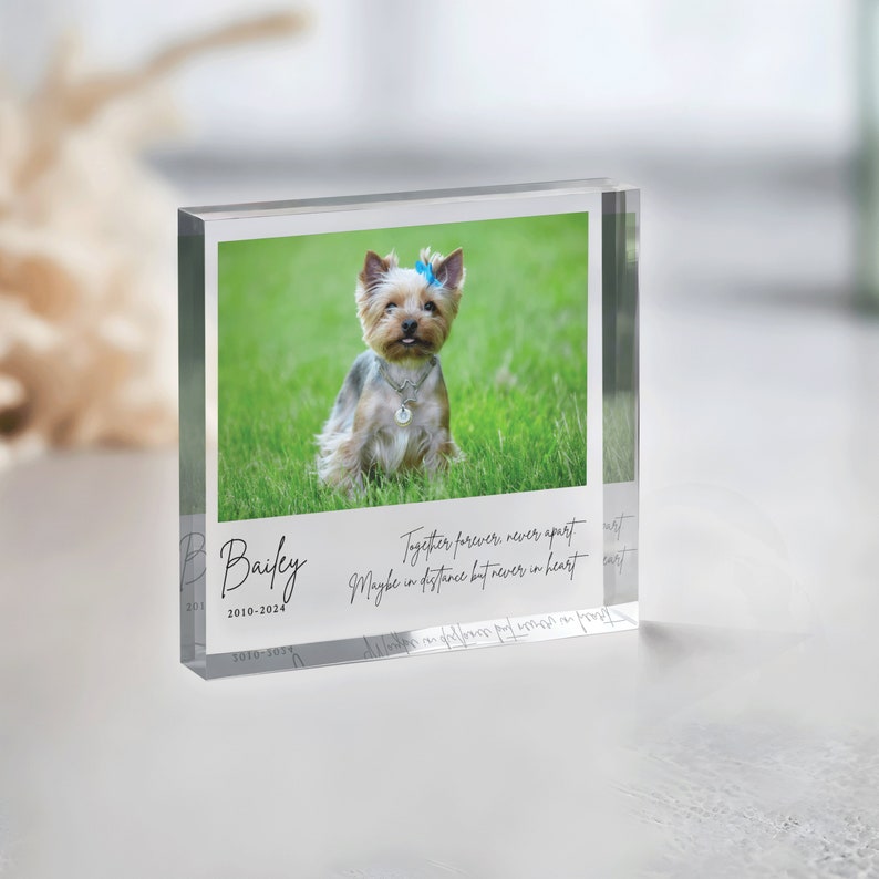 Personalized Pet Memorial Plaque, Photo Pet Memorial Gift, Pet Loss Keepsake, Pet Memorial Photo Plaque, Dog Cat Pet Memorial Gifts