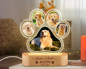 Custom Dog Photo Night Light, Dog Memoral Gift, Light Up Pet Memorial Plaque, Custom Photo Gift, Personalized Gift for Pet Loss, Sympathy if