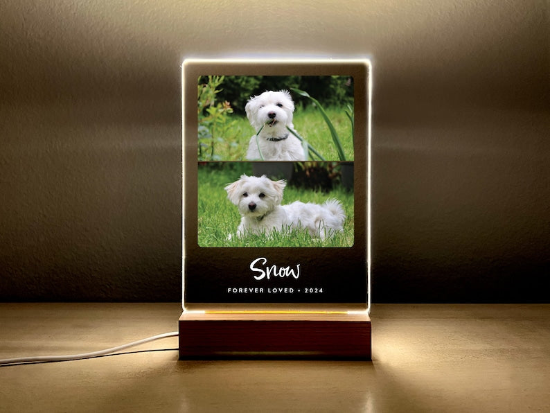 Light Up Pet Memorial Gift, LED Pet Frame, Pet Memorial Keepsake, Pet Bereavement Gift, Pet Loss Sympathy Gift
