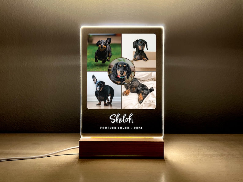 Light Up Pet Memorial Gift, LED Pet Frame, Pet Memorial Keepsake, Pet Bereavement Gift, Pet Loss Sympathy Gift