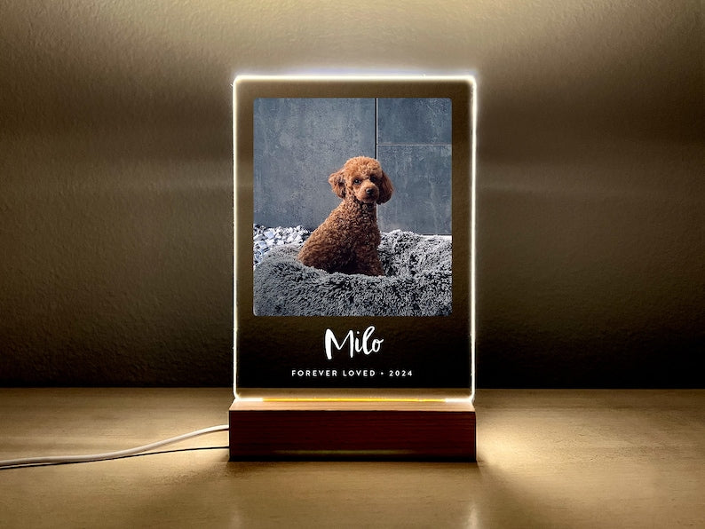 Light Up Pet Memorial Gift, LED Pet Frame, Pet Memorial Keepsake, Pet Bereavement Gift, Pet Loss Sympathy Gift