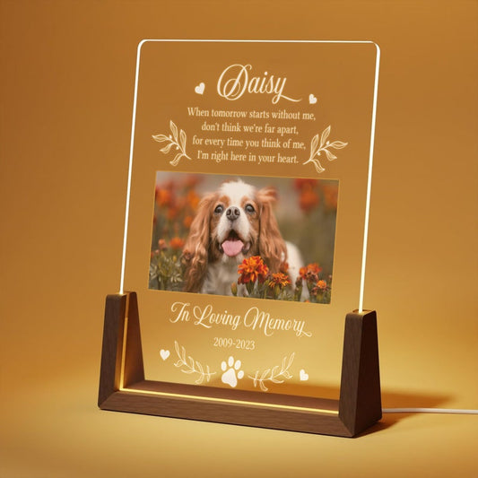 Light Up Pet Memorial Gift LED Pet Frame Pet Memorial Keepsake Pet Bereavement Gift Pet Loss Sympathy Gift
