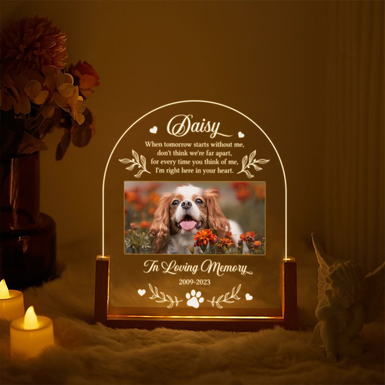 Light Up Pet Memorial Gift LED Pet Frame Pet Memorial Keepsake Pet Bereavement Gift Pet Loss Sympathy Gift