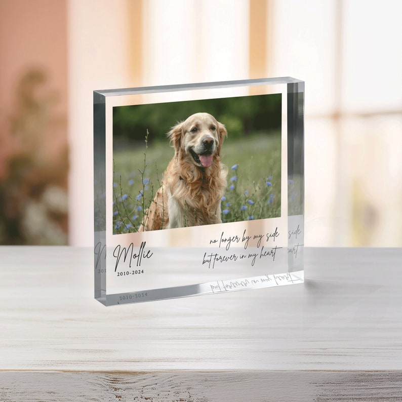 Personalized Pet Memorial Plaque, Photo Pet Memorial Gift, Pet Loss Keepsake, Pet Memorial Photo Plaque, Dog Cat Pet Memorial Gifts