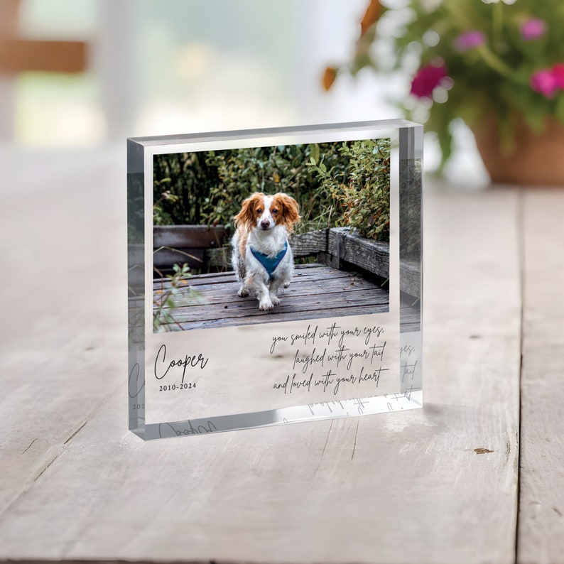 Personalized Pet Memorial Plaque, Photo Pet Memorial Gift, Pet Loss Keepsake, Pet Memorial Photo Plaque, Dog Cat Pet Memorial Gifts
