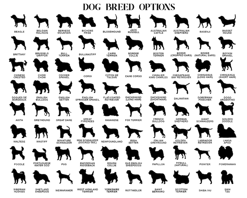 Rainbow bridge dog loss memorial gift, sun catcher, pet sympathy gift, pet loss gift, dog loss memorial gift, dog lover gift, dog sympathy il_794xN.5952265120_qxy2_5000x_e4153421-d2e0-4613-8a33-4f8a5fa2d9bd.png