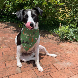 Golfing Dog Bandana | Personalized Dog Bandana | Dog Bandana for Golfer | Golf Dog Bandana with Name | Bandana for Dog Dad | Custom Bandana