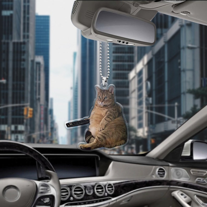 Custom Pet Photo Car Hanging Car Photo Ornament Drive Safe Daddy Customized Cat Photo Car Hanging Car Decor Gift for Dad Car Ornament il_794xN.6009655162_bpxc.jpg