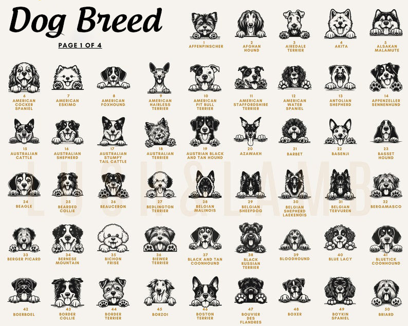 New Best Friend Bodysuit, Custom Baby Bodysuit, Protected By Dog Shirt, Baby Shower Gift, Kid Gift, Personalized Dog Name, Dog Lover Tee