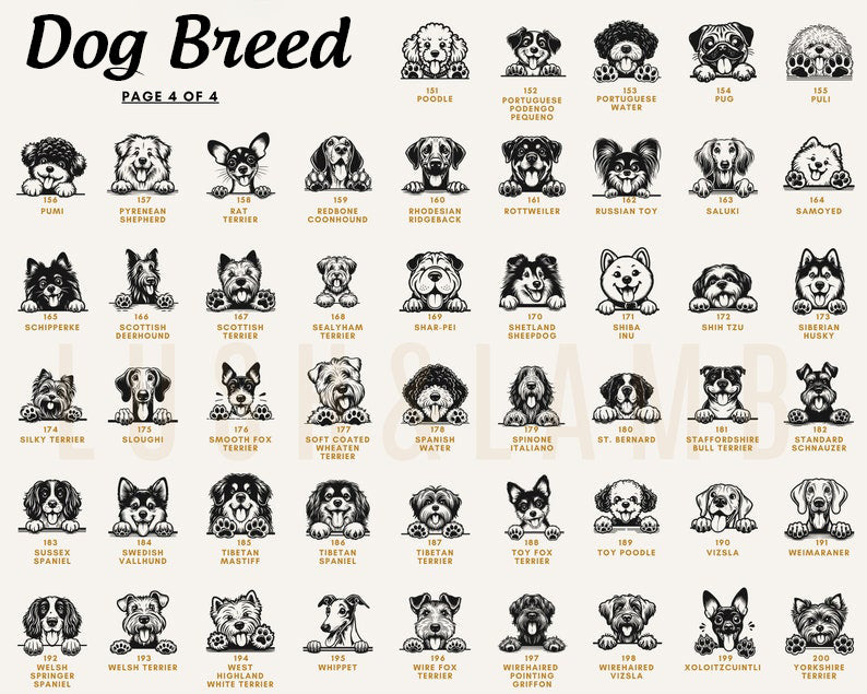 New Best Friend Bodysuit, Custom Baby Bodysuit, Protected By Dog Shirt, Baby Shower Gift, Kid Gift, Personalized Dog Name, Dog Lover Tee