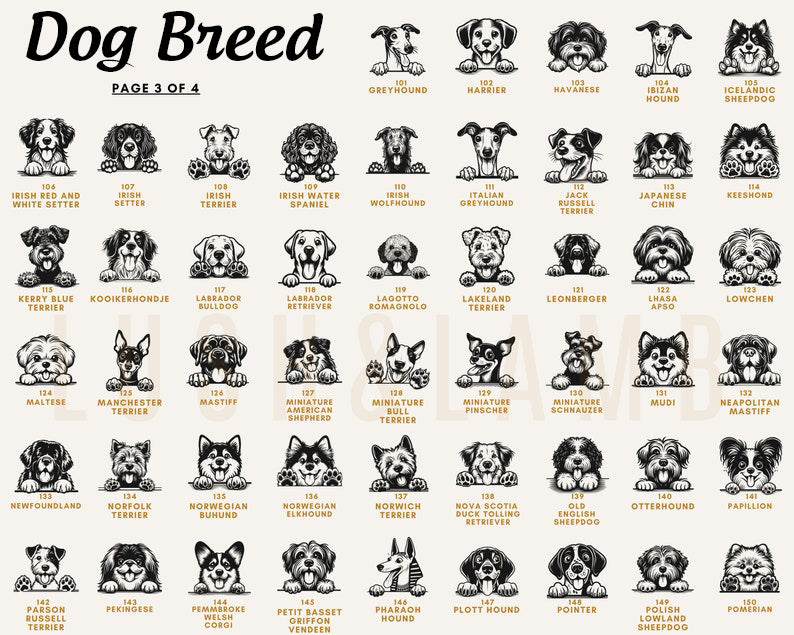 New Best Friend Bodysuit, Custom Baby Bodysuit, Protected By Dog Shirt, Baby Shower Gift, Kid Gift, Personalized Dog Name, Dog Lover Tee