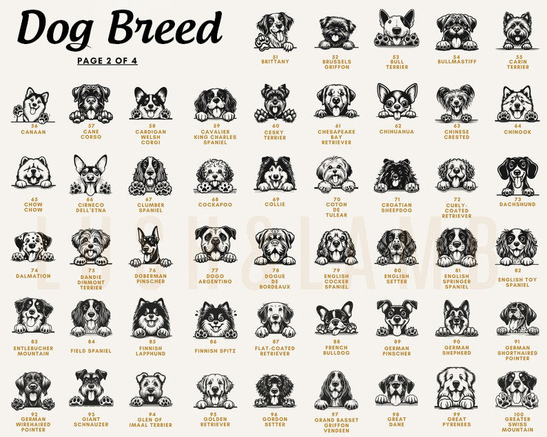 New Best Friend Bodysuit, Custom Baby Bodysuit, Protected By Dog Shirt, Baby Shower Gift, Kid Gift, Personalized Dog Name, Dog Lover Tee