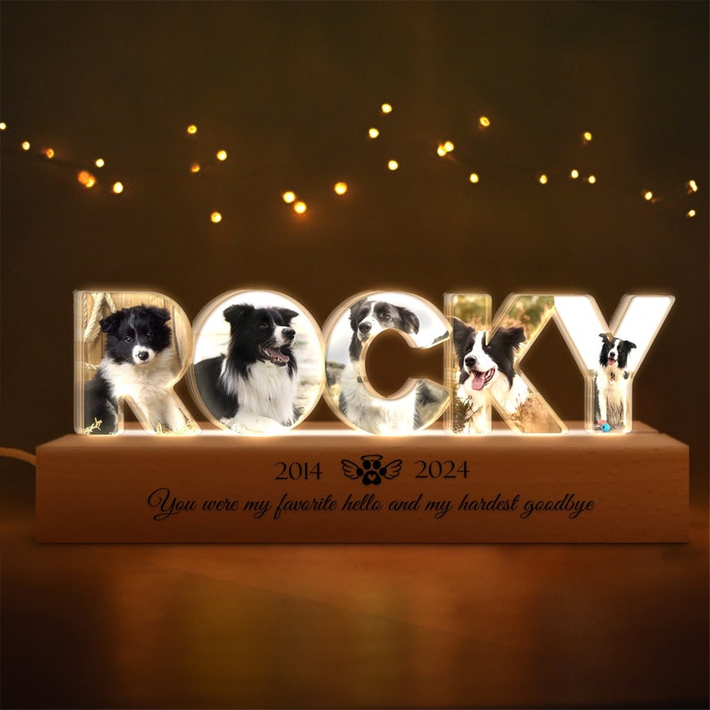 Personalized Pet Memorial Night Light, Custom Pet Photo Night Light, Custom Pet Memorial Gift, Loss Of Pet Sympathy Gift, Dog Loss Gift