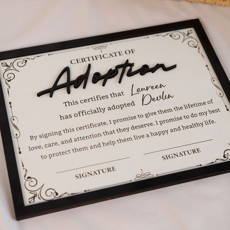 2-Layered Adoption Wooden Plaque, Personalized Step Dad Fathers Day Gift from Kids, Adopted Dad Gift, Step Dad Adoption, Blended Family Sign