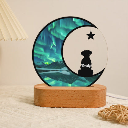 Personalized Dog Remembrance Gift Night Light, Custom Loss of Dog Sympathy Plaque, Pet Memorial LED Lamp Gift, Cat Dog Lovers Pet Ornament il_794xN.6058473754_80ch.jpg