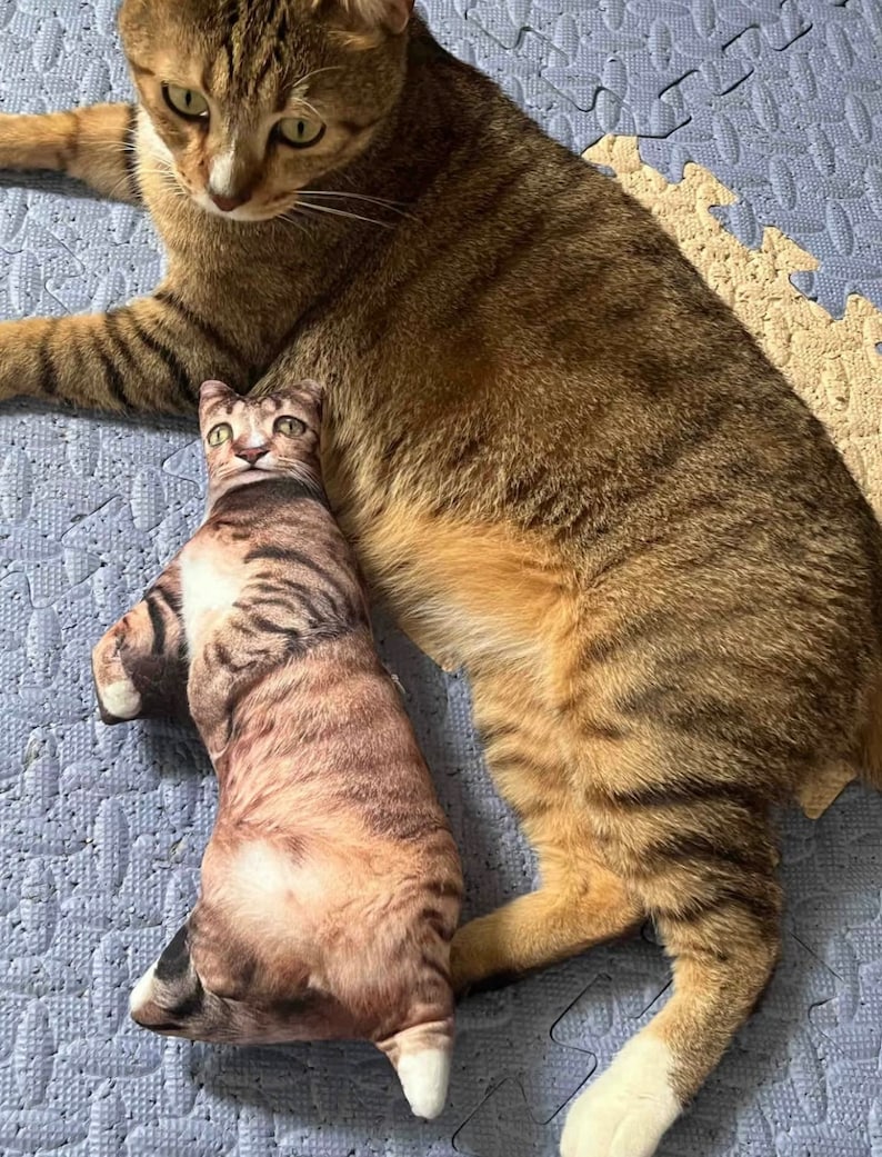 Custom Ugly Cat Pillow, Custom Ugly Dog Pillow, Personalized Funny Pet Photo Pillow, Pet Memorial, Funny Ugly pet Pillow,Pet Loss Gift