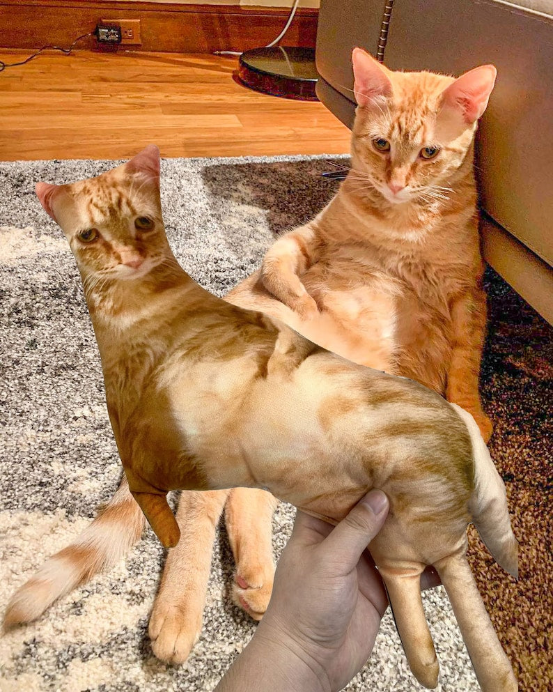 Custom Ugly Cat Pillow, Custom Ugly Dog Pillow, Personalized Funny Pet Photo Pillow, Pet Memorial, Funny Ugly pet Pillow,Pet Loss Gift