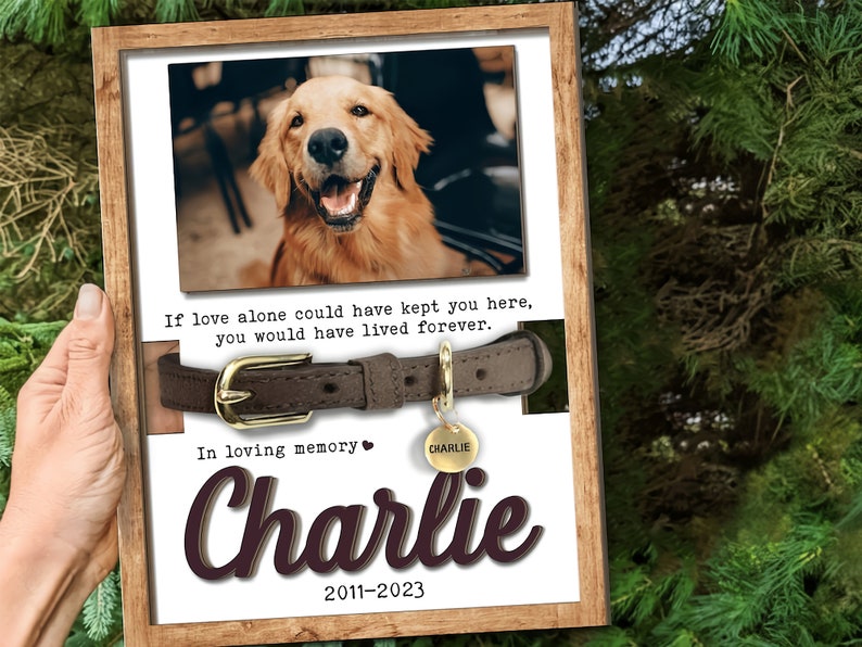 Memorial Pet Collar Sign, Dog Memorial Wood Frame With Collar Holder, Dog Memorial Gifts, Pet Loss Gifts, Pet Sympathy Wooden Signs.